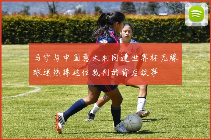 马宁与中国意大利同遭世界杯无缘球迷热捧这位裁判的背后故事