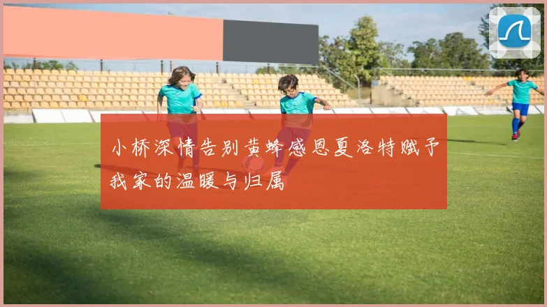 小桥深情告别黄蜂感恩夏洛特赋予我家的温暖与归属